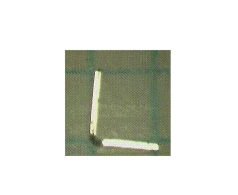 ƃ(ni)·Ƭ(LƬ)